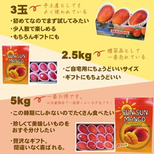 アップルマンゴー台湾産5kg送料無料