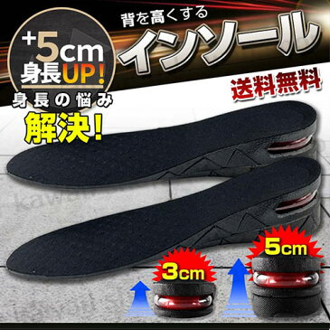 衝撃吸収 3cm 5cm 身長アップ 中敷き シークレット インソール シークレットシューズ 身長UP シークレット クッション メンズ レディース 靴底かかとアップ 厚底 スニーカー インヒール ブーツ 送料無料 靴 こっそり エアーインソール ライヴ あげ底 5センチ サイズ調節