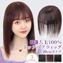 100％人毛 ミセス ウィッグ ブラック 8x12 20CM 前髪ウィッグ 人毛 トップピース ヘアピース 3D構造 シースルーバング前髪 サイド 後ろ髪 髪の毛 かつら 取り付け 簡単 脱着 自然 人毛ウイッグ ボリューム 白髪隠し 増毛 脱毛 隠し 前髪 境目 目立たない うぃっぐ 女性