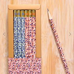 ◎台湾オリジナル！台湾台南林百貨限定カラフル鉛筆のサムネイル