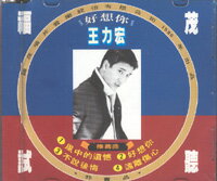 ＜レア＞王力宏（ワン・リーホン）「好想イ尓」非売品サンプラーCD