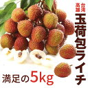 【早割】楽天市場ランキング1位【予約】●送料無料台湾産最高級玉荷包ライチ(L玉)たっぷり5kg箱!ドラゴンライチ ライチ レイシ 台湾で一番人気のライチ 冷凍じ...
