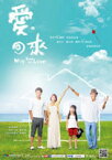 リージョンALL張睿家（レイ・チャン）主演台湾ドラマ「愛。回來 Way Back Into Love」（全22話7枚組DVD-BOX）台湾版　愛回来