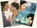 さよならセール!陳柏霖(チェン・ボーリン)映画「五月之恋」DM+「SONY」DM2枚セット