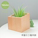 植木鉢 ミニ シンプル かわいい おしゃれ 天然木 ポット インテリア 木製 陶器 木 鉢植え 室内 卓上 ナチュラル ウッド おうち花見 トスム TOSMU