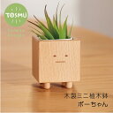 植木鉢 かわいい おしゃれ ボーちゃん植木鉢 ミニ ポット インテリア シンプル 木製 陶器 木 鉢植え 天然木 室内 卓上 ナチュラル ウッド おうち花見 ト...