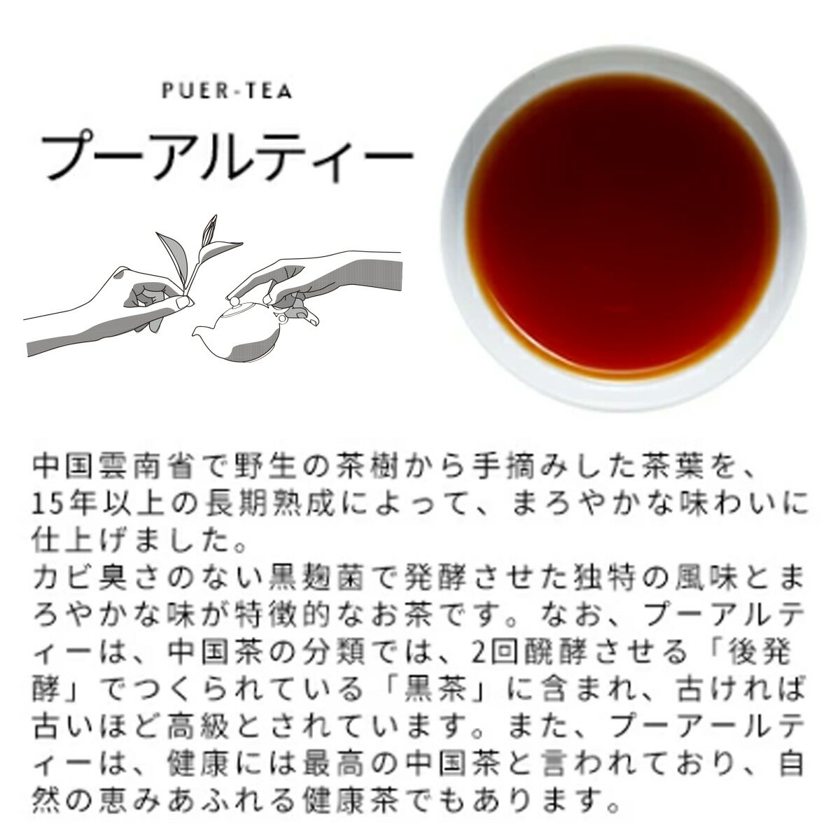 プーアル茶 プーアール茶 お茶 ティーバッグ ...の紹介画像2