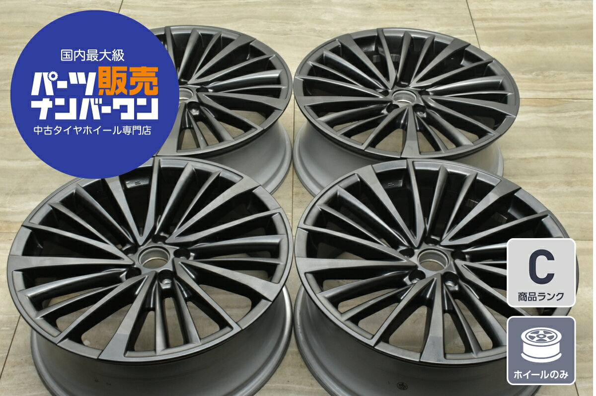 imgrc0124852549.jpg imgrc0124852549.jpg