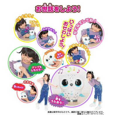 とんで!オウリードリーミーピンク