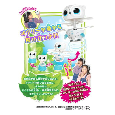 とんで!オウリードリーミーピンク