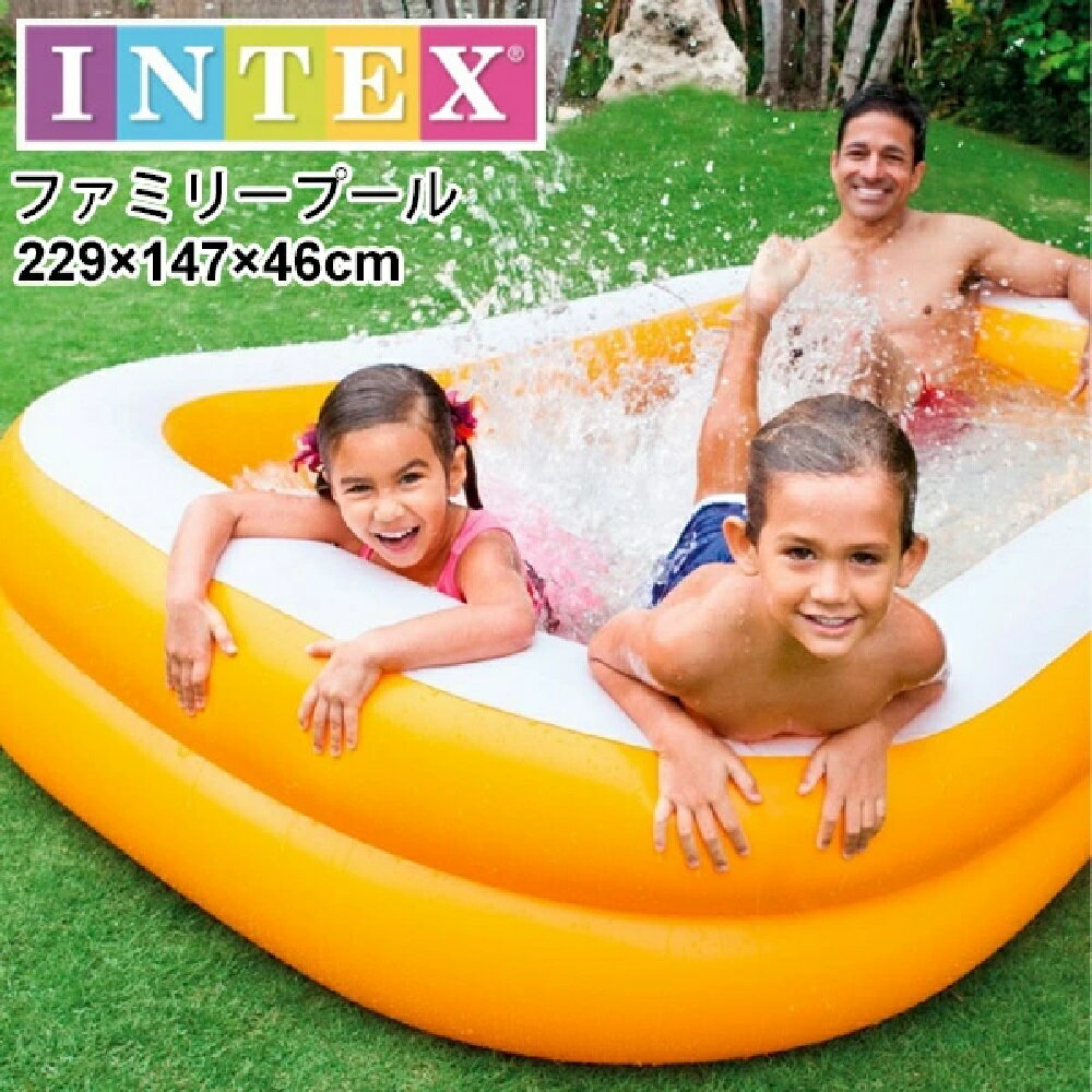 INTEX緿 ޥ󥹥ॻ󥿡եߥ꡼ס46229147cmˡ57181Ҷѥӥˡס//ͷ/ƥå