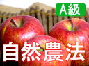 【A級品】竹嶋有機農園の自然農法りんごふじ <10kg>【常...