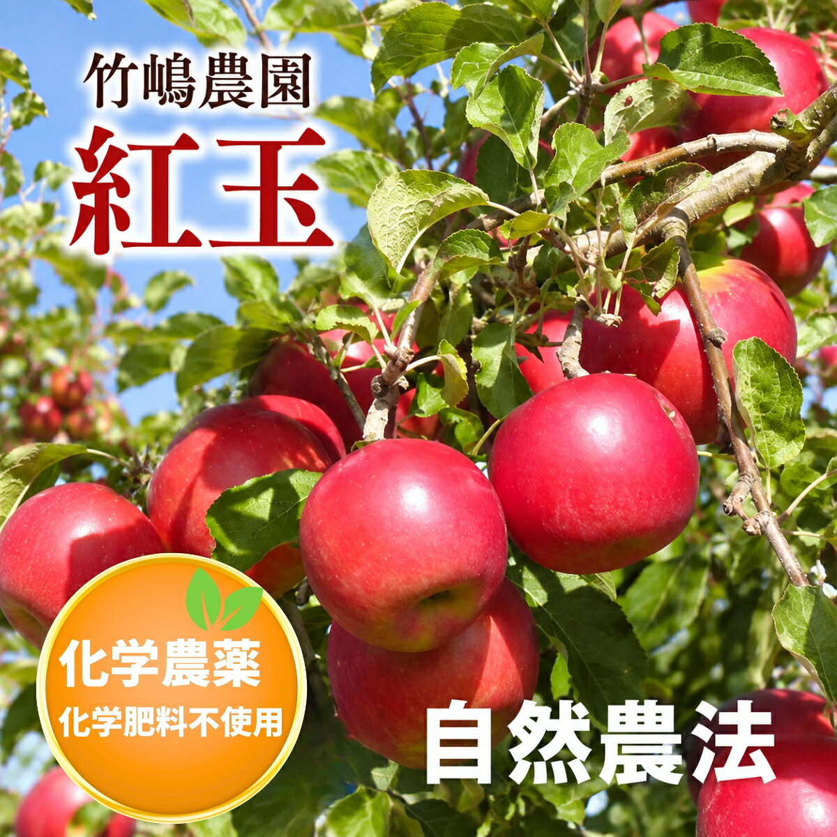 楽天市場】無農薬 りんご（りんご｜フルーツ・果物）：食品の通販