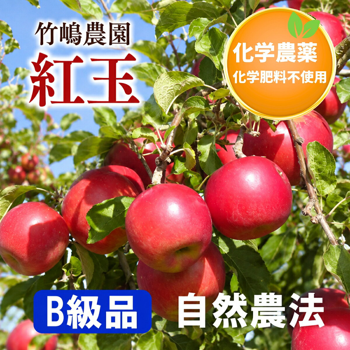 同梱不可 (一部例外あり） 他の商品との同梱は基本的にはできませんが、厚み(高さ）10cm未満の箱に入るような小さい商品の場合には同梱可能な場合があります。 （野菜や「ビンもの」との同梱はできません。） ※ 他の、同梱できない商品と一緒にご注文された場合、送料を加算させていただきますので、ご了承ください。 産地直送 (一部例外あり） 「竹嶋さんの林檎」10kg〜20kgは、産地からの直送とさせていただく場合がございます。この場合、明細書、領収書などはお入れできませんのでご了承ください。 ただ、他の商品との同梱や同送をご希望の場合、お支払方法で「代金引換」をご希望の場合には、当店からの発送となります。 ■容量：約14kg ※重量は林檎の大きさによって前後します。「14kg箱」でのお届けですが、正味は14kg未満となる場合がありますのでご了承ください。■生産者：竹嶋農園（青森県） ■配送方法：常温ご家庭では冷蔵庫（5〜8℃以下が目安）にて保存してください。10℃以上で保存すると傷みが早く進みます。また、林檎は1週間以内くらいにお召し上がりください。季節や保管状況にもよりますが、1週間以上たつと傷みがでるものもあります。特に3月以降は傷みが出やすくなります。 ★栽培期間中、化学農薬・化学肥料は使用していません。※有機JAS認定資材同等の有機農薬・有機肥料のみ使用。安心して丸かじりしてください。（無化学農薬・無化学肥料栽培） ※キズあり林檎ですので贈物には不向きです。 ご家庭用 にご利用下さい。 ※B級は傷みが早い場合がありますので、冷蔵庫に保存の上お早めにお召し上がり下さい。 ●ご注文に際してのお願い ※入荷時期の兼ね合いによっては同梱できない商品を一緒にご注文いただいた場合。 一部の商品をキャンセルさせていただくか、ご注文をいったん取り消しさせていただき、 再度、別途ご注文をいただくようお願いしますので、予めご了承ください。 ■林檎の食味について 秋に収穫した林檎を産地で超冷蔵保存し、春先まで出荷します。 （これはどの農園でも同じです） 収穫した後は徐々に熟成が進み、果肉は柔らかく、 味はボケていく傾向がありますのでご了承ください。 特に年明け以降は、その傾向は強くなってまいります。 ※外からは分からない内部の傷みが出ている場合もありますが、 その場合には別途対応させていただいております。 ※林檎内部の「傷み」につきまして＞＞＞ ※竹嶋さんの林檎について、放射能サンプル検査（検体：つがる）を行った結果、ヨウ素-131、セシウム-134、セシウム-137いずれも不検出でした。 （検査結果はこちらのページにて＞＞＞） ※こちらもご覧ください＞＞＞●ご注文に際してのお願い ※2015年度産の林檎は、10月の台風被害を受けて例年よりも、キズが多めの傾向がありました。
