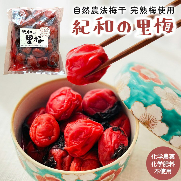 ★2023年新梅入荷！自然農法梅干【紀和の里梅】500g【メール便送料無料】※無農薬無化学肥料栽培・無添加梅干※他の常温品と一緒にご注文の場合、システム上「冷蔵便」になりますが「常温便配送」とさせていただきます★売り切れの際はご容赦ください。