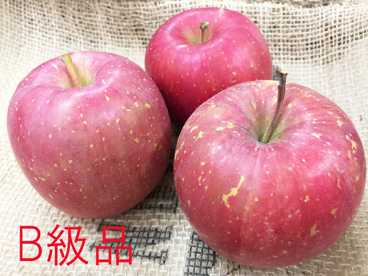 ھﲹ/졦彣ûۡBʡͭμˡդ5kgȢ䢨ﲹڤκݤϤƼϤ