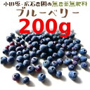 【★8/26~9/5発送】【冷凍】自然農法 広石さんのブルーベリー 約200g ※サイズ混合※今年の夏、収穫したブルーベリーを冷凍してお届けします※「冷凍品のみ」10800円以上のご注文で、「冷凍便」の送料が無料となります