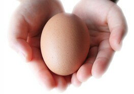 安全卵　10個　（高知のたまご）※常温配送（6〜9月は冷蔵配