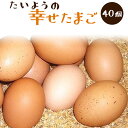 太陽食品の平飼い有精卵★「たいようの幸せたまご」40個※常温配送（6〜9月は冷蔵配送推奨）※数量限定品。入荷状況によってはお届けまでお待ちいただく場合があります。