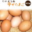 【4箱セット】太陽食品の平飼い有精卵★「たいようの幸せたまご」40個※常温配送(6〜9月は冷蔵配送推奨)※数量限定品。入荷状況によってはお届けまでお待ちいただく場合があります。 2,862円