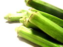 【西日本野菜(九州産、中部産、他)】自然農法、または特別栽培オクラ 1袋