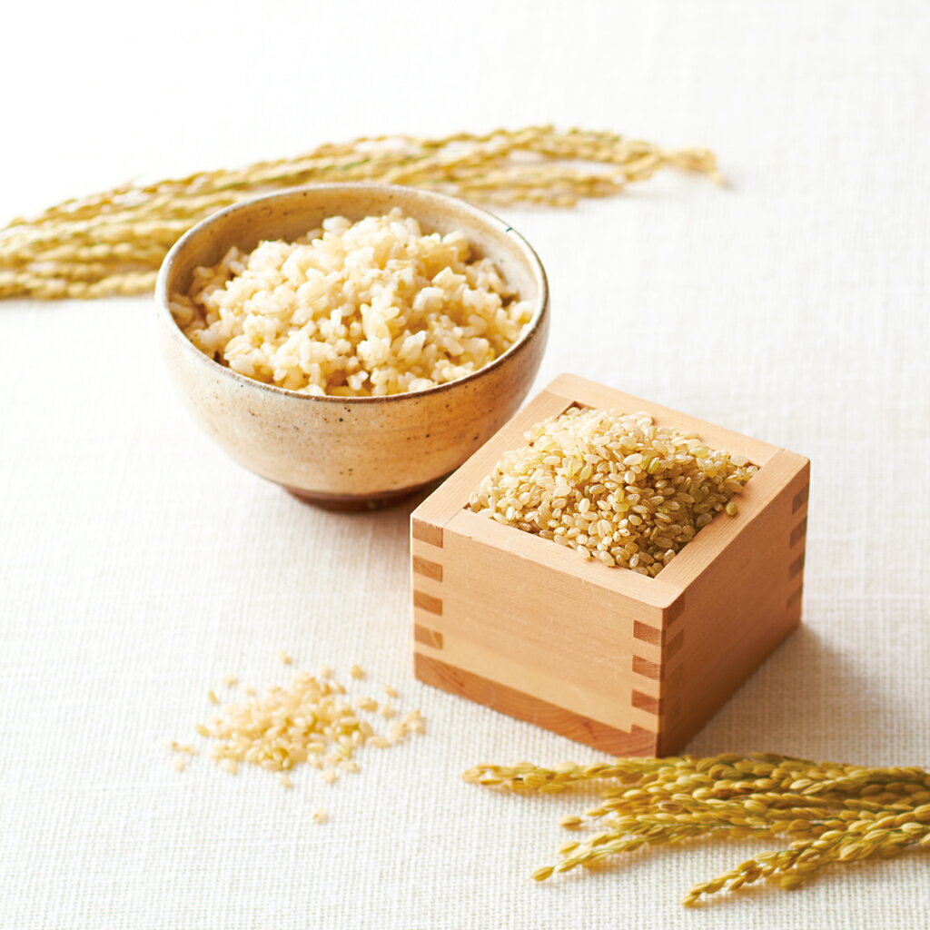 ���ڥ�������ۥ��������ͭ������ȯ�긼�ơ�ž��������˹�500g