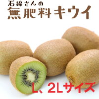 ★石綿さんのキウイ　約3kg※大き目（L,又は2Lサイズ）※無農薬無肥料栽培※有機JAS※25...