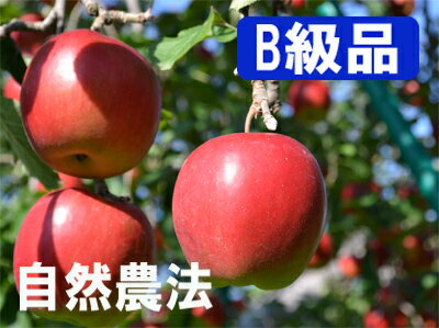 Իѡµ褵μˡ󤴡㥸ʥɡ䣵ȢˡʥͭӸ