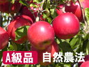 【A級品】竹嶋有機農園の自然農法りんご紅玉「4.5kg箱」入
