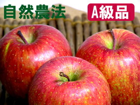 【A級品ふじ5kg】竹嶋農園の自然農法りんごふじ「5kg箱」入り※サンふじ(無袋栽培)☆ぜひ、りんごの皮も食べてください【常温便送料込/※沖縄・九州・中四国は別途送料】(クール便希望の場合、別途追加料金)★12月上旬以降発送