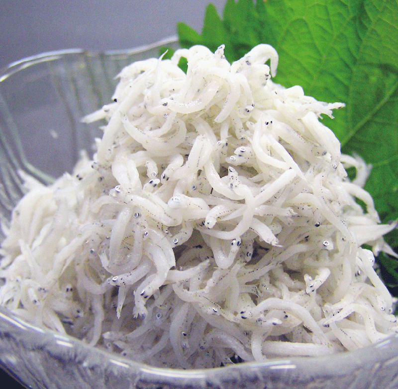 【冷凍】釜揚げしらす(和歌山県産)　60g※「冷凍品のみ」10800円以上のご注文で、「冷凍便」の送料が無料となります