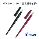 パイロット 万年筆 デスクペン ペン習字用万年筆 P-DPP-1S-B