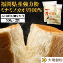 \1,000円ぽっきり/福岡県産ミナミノカオリ100% 500g×2袋 大陽製粉 家庭用 小麦粉 強力粉 九州産 国産 国内産 パン用粉 強力粉 石臼 食パン バゲット ロールパン ピザ ベーグル 餃子 製パン ホームベーカリー チャック付き袋 送料無料 お買い物マラソン 買いまわり