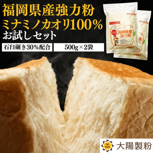 \1,000円ぽっきり/福岡県産ミナミノカオリ100% 500g×2袋 大陽製粉 家庭用 小麦粉 強力粉 九州産 国産 国内産 パン用粉 強力粉 石臼 食パン バゲット ロールパン ピザ ベーグル 餃子 製パン ホームベーカリー チャック付き袋 送料無料 お買い物マラソン 買いまわり \1,000円ぽっきり/福岡県産ミナミノカオリ100% 500g×2袋 大陽製粉 家庭用 小麦粉 強力粉 九州産 国産 国内産 パン用粉 強力粉 石臼 食パン バゲット ロールパン ピザ ベーグル 餃子 製パン ホームベーカリー チャック付き袋 送料無料 お買い物マラソン 買いまわり