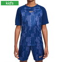 NIKE ナイキ プラクティスシャツ ナイキ アカデミー ジュニア 軽量 速乾性 通気性 メッシュ Dri-FIT 半袖 サッカートップ HJ3724-492(4)