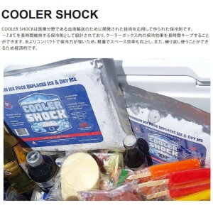 COOLER SHOCK クーラーショック Lサイズ 3個セット 保冷剤 アイスパック クーラーパック 繰り返し使用可能 アメリカ製 7CSLSET通販格安セール情報 楽天 通販
