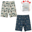 yN[|p10%OFF! 4/24 20:00-4/27 9:59z AKTR AN^[ ALOHA 6.5-INCH SHORTS An 6.5C` V[c n[tpc oXPbg{[ 2024Nt 124-022002