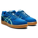 y4/20IN[|p5%OFFz asics AVbNX XJCnhJP nh{[V[Y 2022Nt CNhCu/ACX~g THH536-400