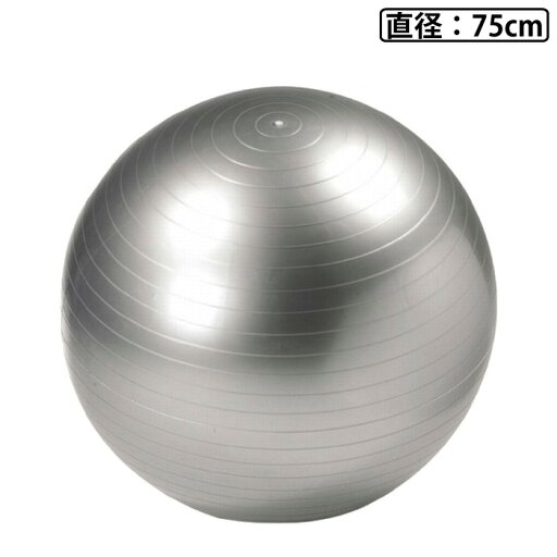 【10%OFFクーポン対象|5/9 20:00-5/16 1:59迄】 ヨガボール75 ポンプ付き トレーニング ストレッチ バランスボール IMC69 【10%OFFクーポン対象|5/9 20:00-5/16 1:59迄】 ヨガボール75 ポンプ付き トレーニング ストレッチ バランスボール IMC69