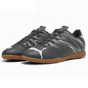 PUMA v[} A^bJg IT ChAV[Y tbgT  ̈ 2024Nt ubN 107479-01