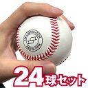 SSK エスエスケイ 硬式野球用 練習球 24球セット 2ダース 天然皮革 中国製 個包装なし 高校野球 GD89