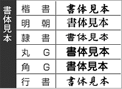 一行ゴム印（医療 科目）特注10ヶセット印面サイズ：5×40mm麻酔科／高齢診療科／小児科／泌内科／血液内科／整形外科／形成外科／皮膚科／総合診療科／放射線科など10種類をオーダーいただくタイプです（横組限定商品）