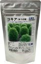 福花園種苗 コキア・スコパリア種子(景観用)100ml詰 212014