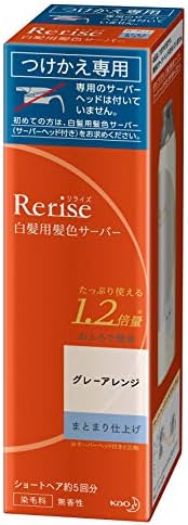 リライズ 白髪染め グレーアレンジ (自然なグレー) まとまり仕上げ 男女兼用 つけかえ用 190g