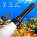 Wurkkos DL40 ダイビングライト LED 懐中電灯 防水 5000LM ダイビング懐中電灯4*SamsungLH351Dダイビングライト水中150Mま...