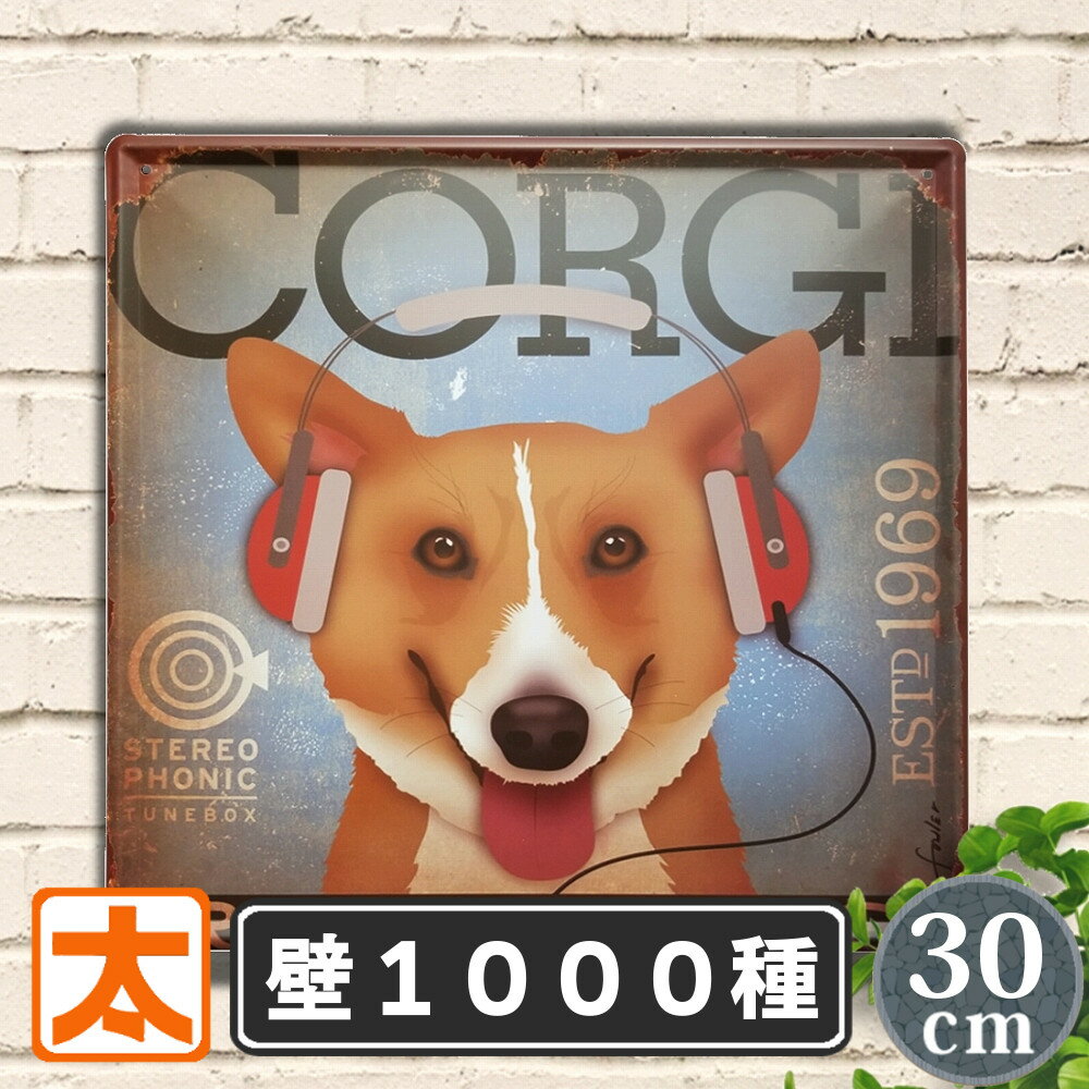 ֥ꥭ 30   쥳 ݥ ƥꥢ å ȥѥͥ ǥ  ץ졼    do...