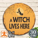 ハロウィン グッズ ブリキ看板 e30e ハロウィン 魔女 ポスター 絵 壁掛け インテリア雑貨 アートパネル Halloween ハロウィーン 魔法使い 装飾...