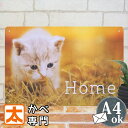 アートパネル 猫 ネコ グッズ ブリキ看板 アンティーク風 ねこ hm ポスター インテリア雑貨 壁 ...