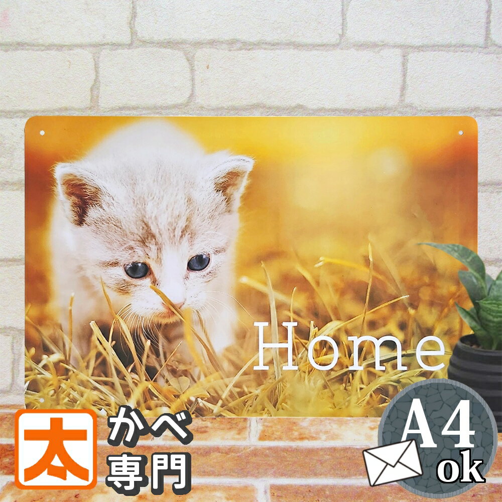 猫 看板 アートパネル ブリキ看板 茶トラ ネコ グッズ アンティーク ねこ 猫 ポスター インテリ ...