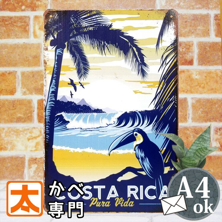 インテリア 雑貨 鳥 海 アートパネル ブリキ看板k コスタリカ オオハシ ポスター サインボード サインプレート 絵画 壁掛け タペストリー おしゃれな アンティーク風 野鳥 ハワイアン 海辺 サーフ系 アメリカン雑貨 ガレージ A4 縦長 メール便のサムネイル